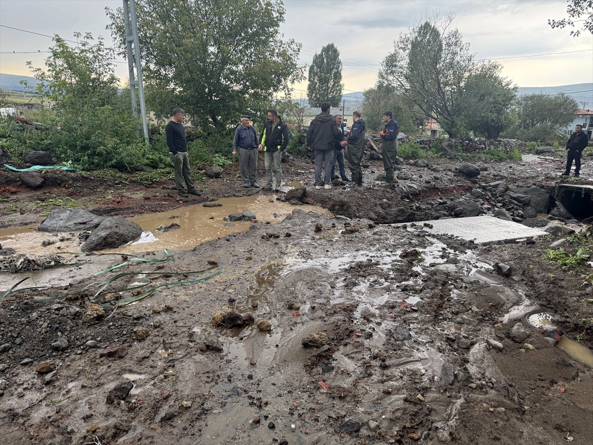 Ardahan'da sağanak ve dolu bazı köy ve mahallelerde hasara neden oldu