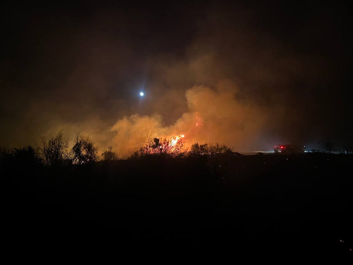Antalya Serik'te makilik yangını zeytinliğe sıçradı