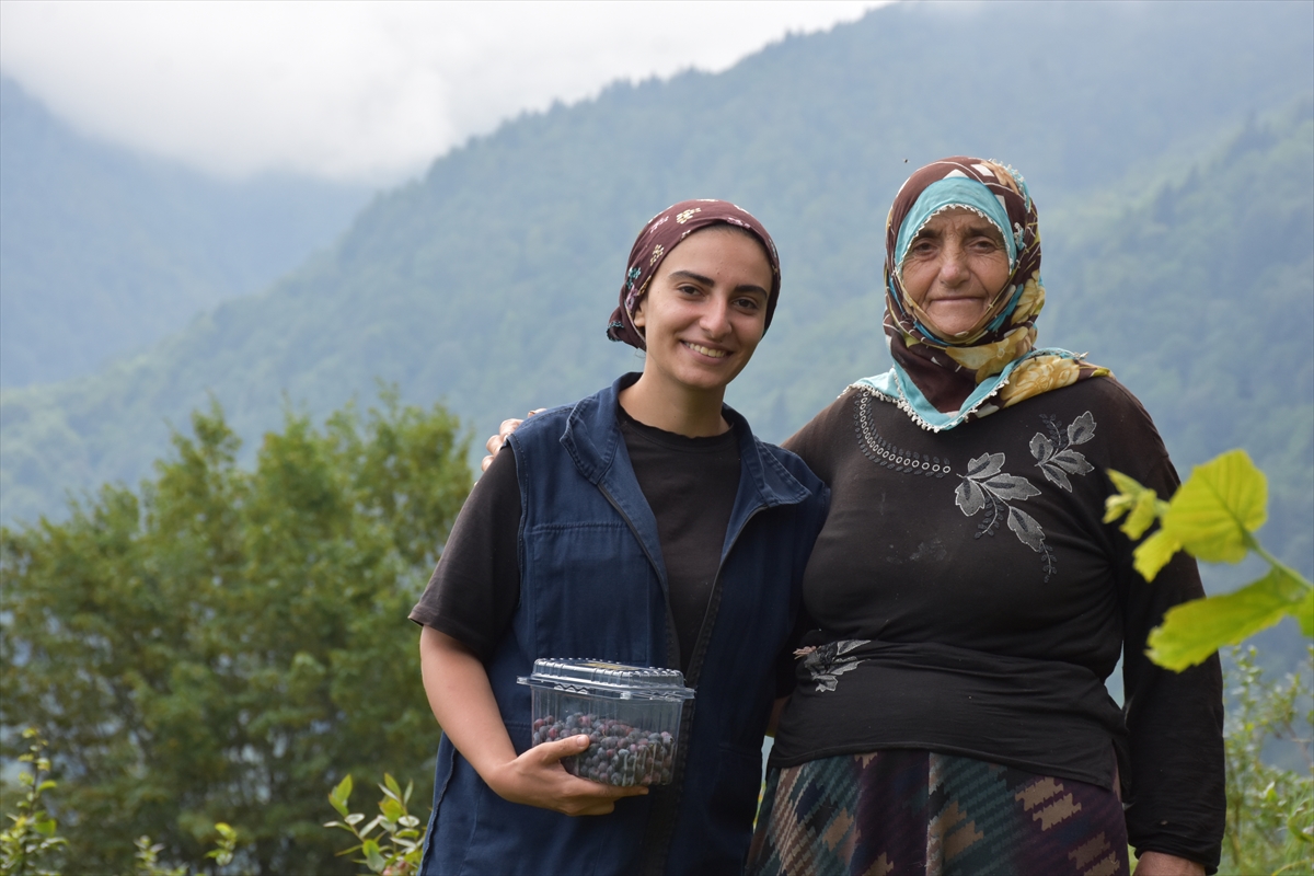 Mehtap Aksoy: Maviyemiş bahçesini gelir kapısına dönüştürdü