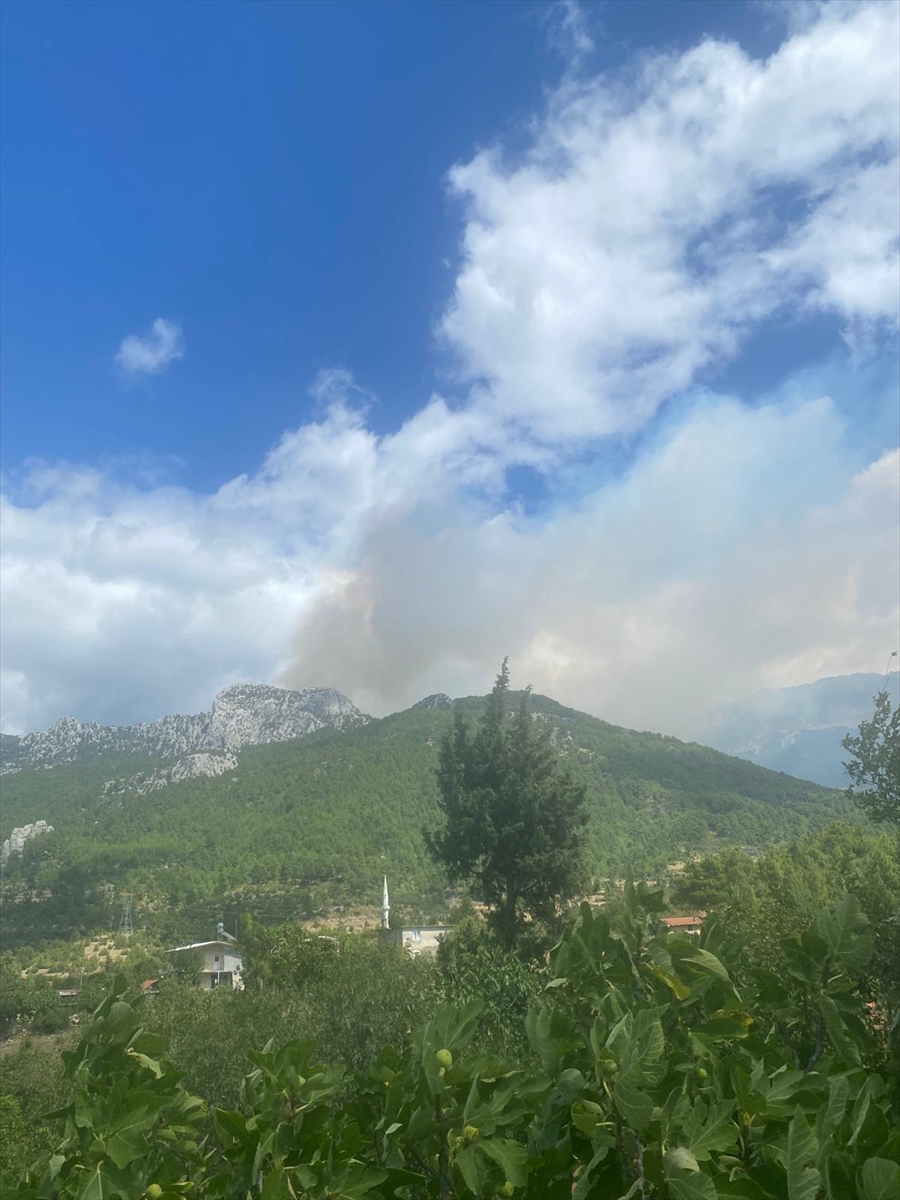 Antalya'da çıkan orman yangınına müdahale ediliyor