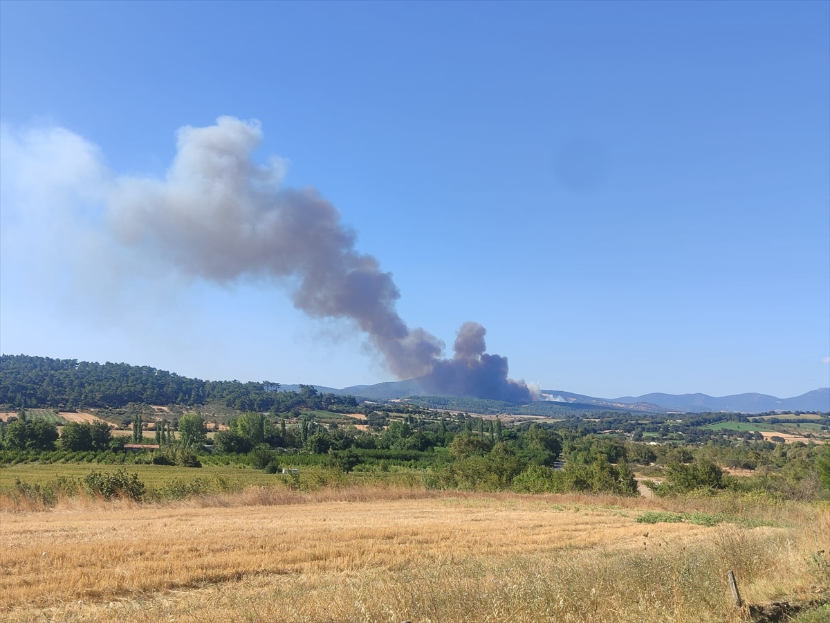 Çanakkale Bayramiç'te orman yangınına müdahale ediliyor