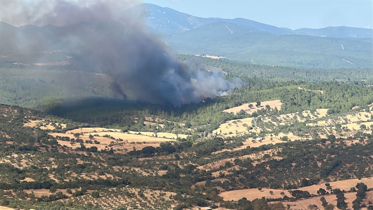 Vali Toraman: Çanakkale yangınına havadan ve karadan müdahale