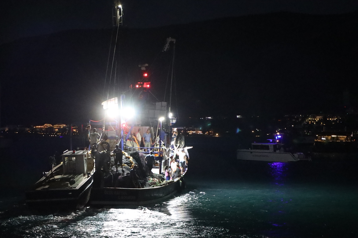 Bodrum'da Su Ürünleri Av Sezonu Açıldı: 750 Milyon Dolar Gelir
