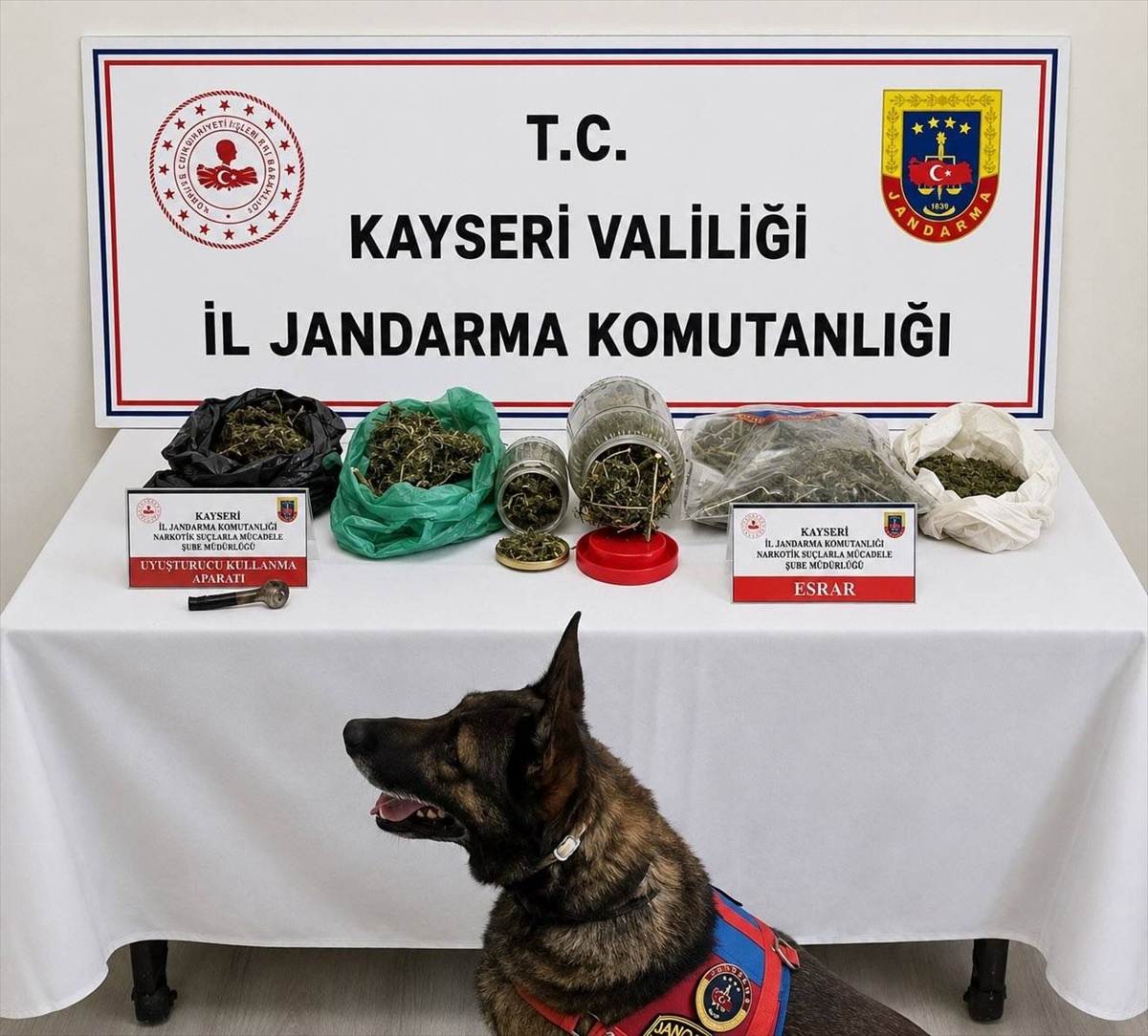 Kayseri'de uyuşturucu operasyonu: 1.2 kg esrar yakalandı