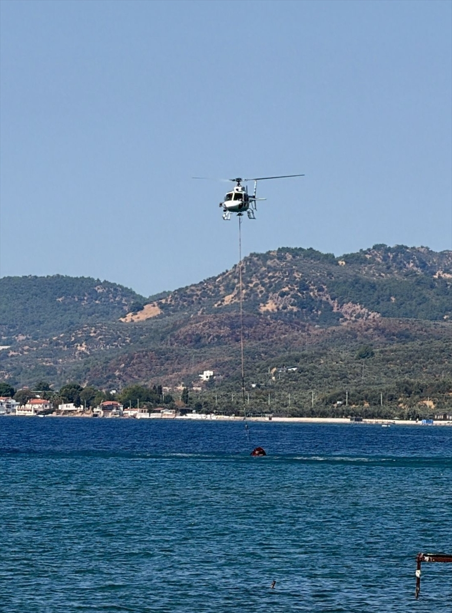 GÜNCELLEME - Çanakkale'de zeytinlik alanda çıkan yangın kontrol altına alındı