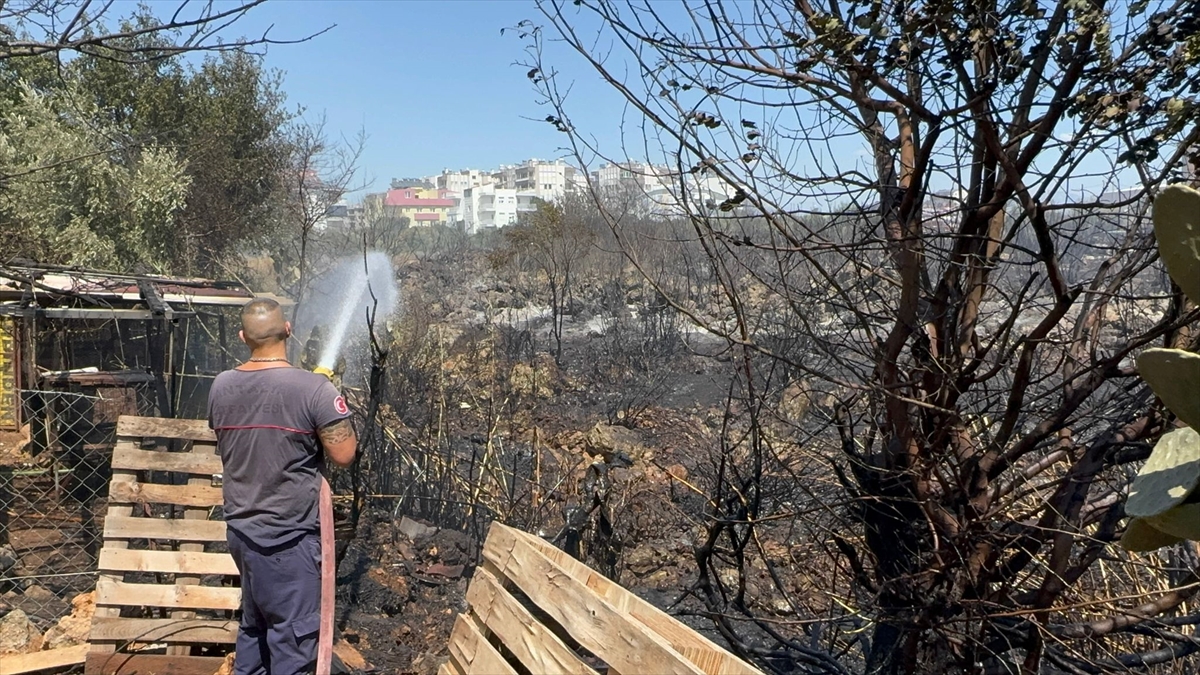 Antalya Kepez'deki otluk yangını evlere sıçramadan söndürüldü