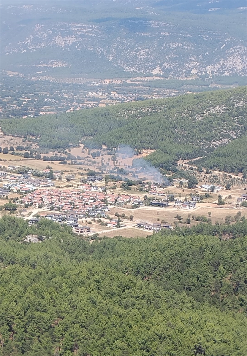 Muğla Menteşe'deki orman yangını ekiplerce söndürüldü