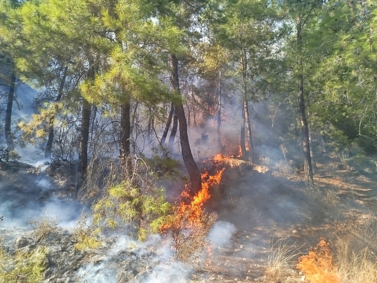 Antalya Manavgat'ta orman yangınına havadan ve karadan müdahale