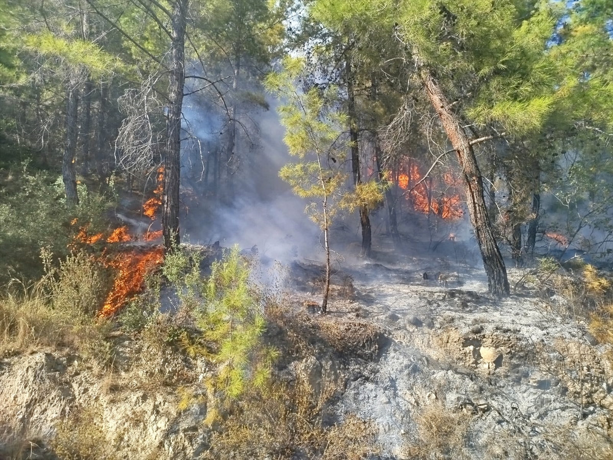 Antalya Manavgat'ta orman yangınına havadan ve karadan müdahale