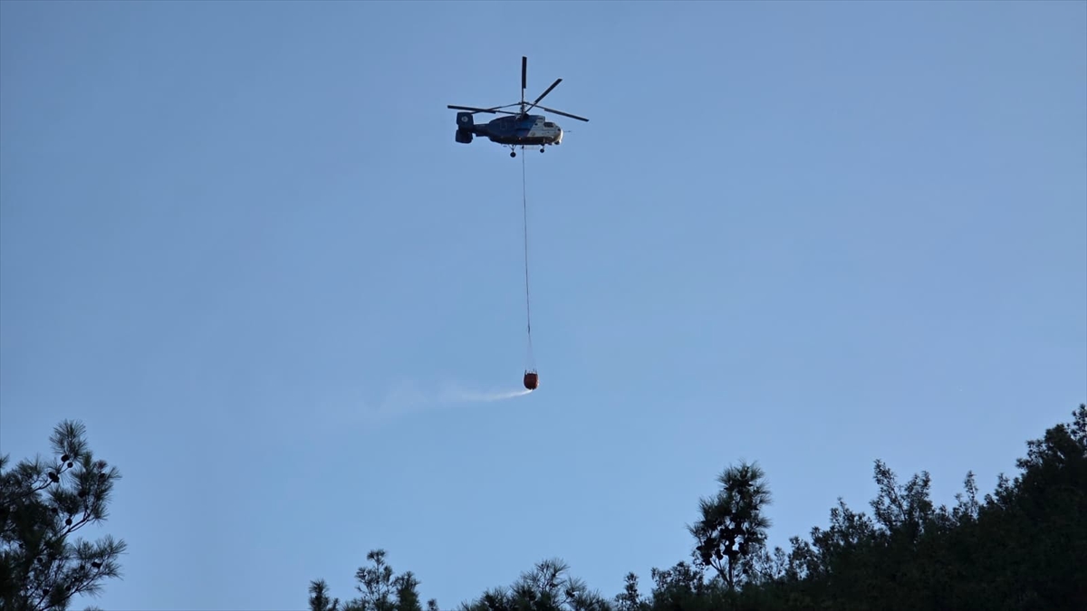 Hatay Hassa'daki orman yangını kısa sürede söndürüldü
