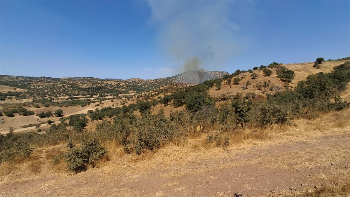 GÜNCELLEME - Balıkesir'de çıkan orman yangını kontrol altına alındı