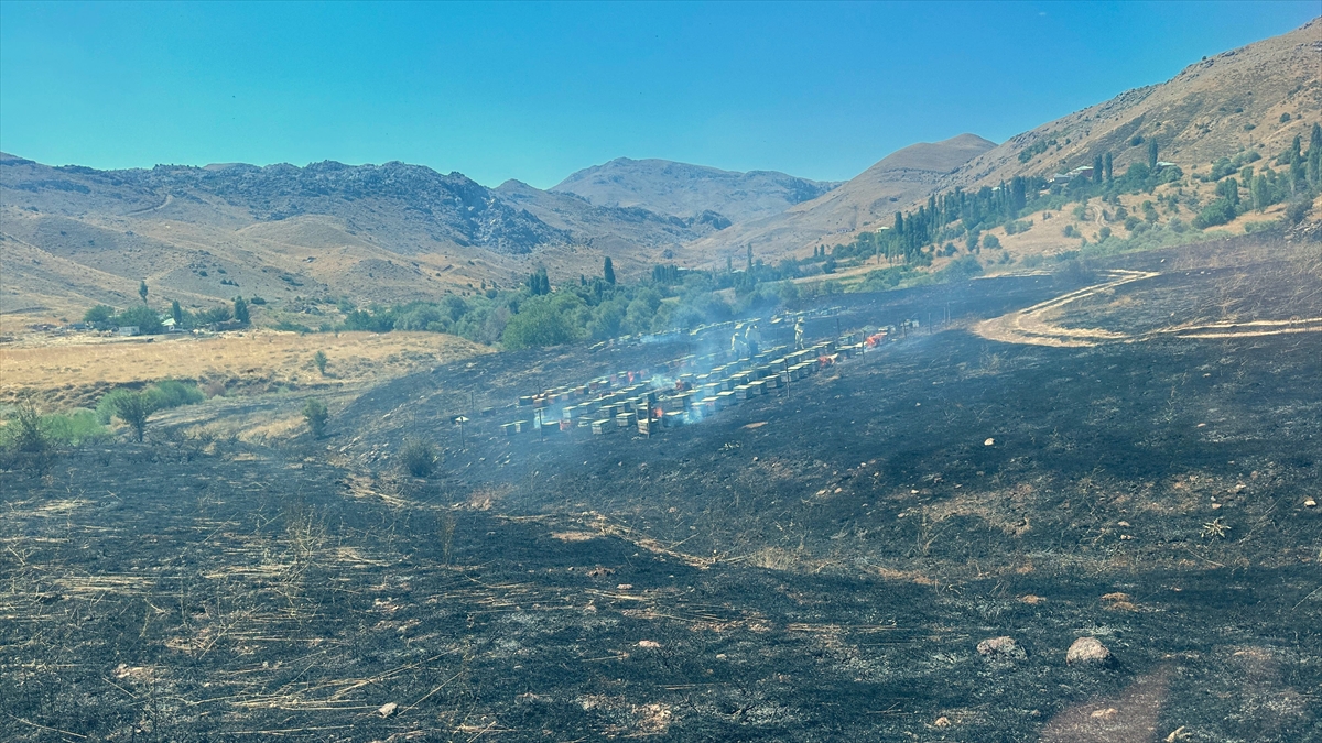Adıyaman'da otluk alan yangınında 150 arı kovanı yandı