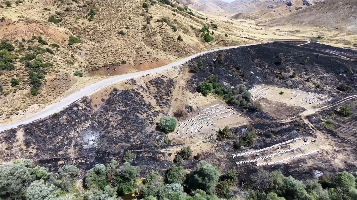 Adıyaman'da otluk alan yangınında 150 arı kovanı yandı
