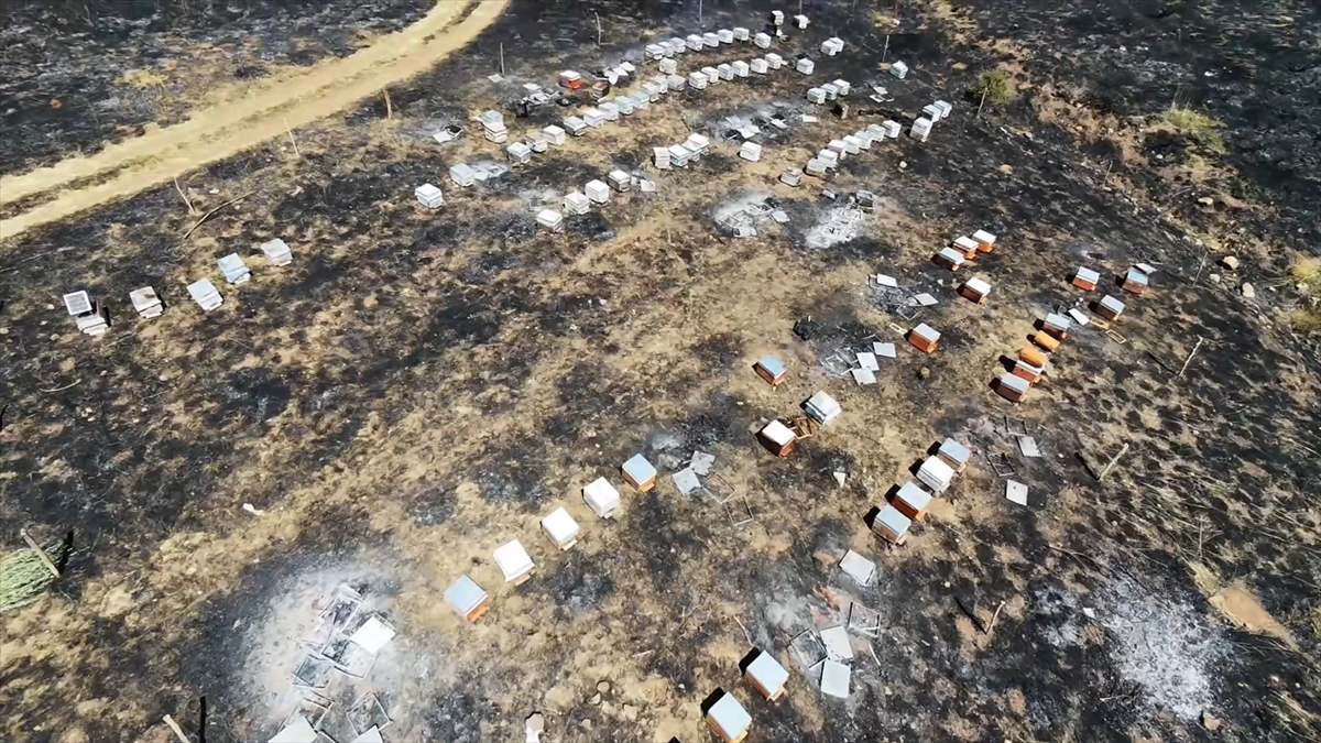 Adıyaman'da otluk alan yangınında 150 arı kovanı yandı
