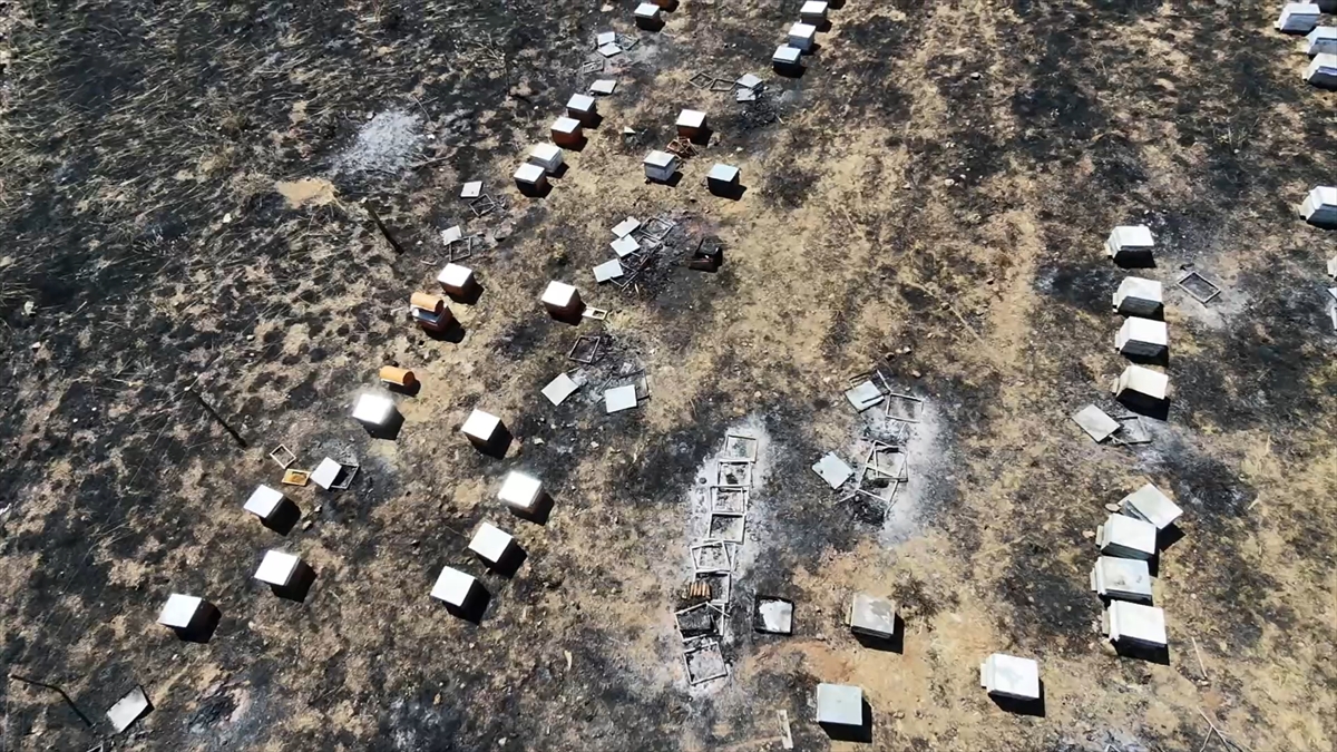 Adıyaman'da otluk alan yangınında 150 arı kovanı yandı