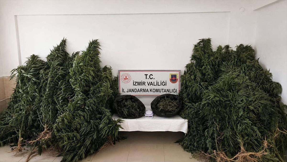 İzmir'deki uyuşturucu operasyonunda şüpheli tutuklandı