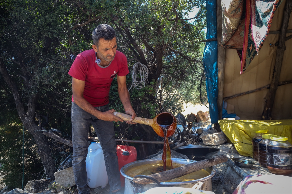 Mersin Mut'ta Üzümler Geleneksel Yöntemle Pekmeze Dönüşüyor