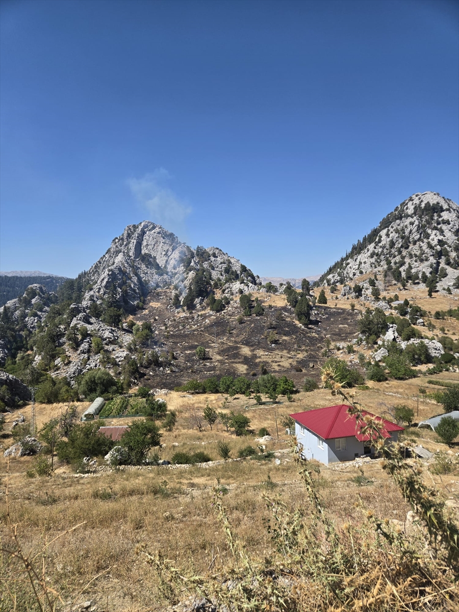 Alanya'da çıkan zirai alan yangını kontrol altına alındı