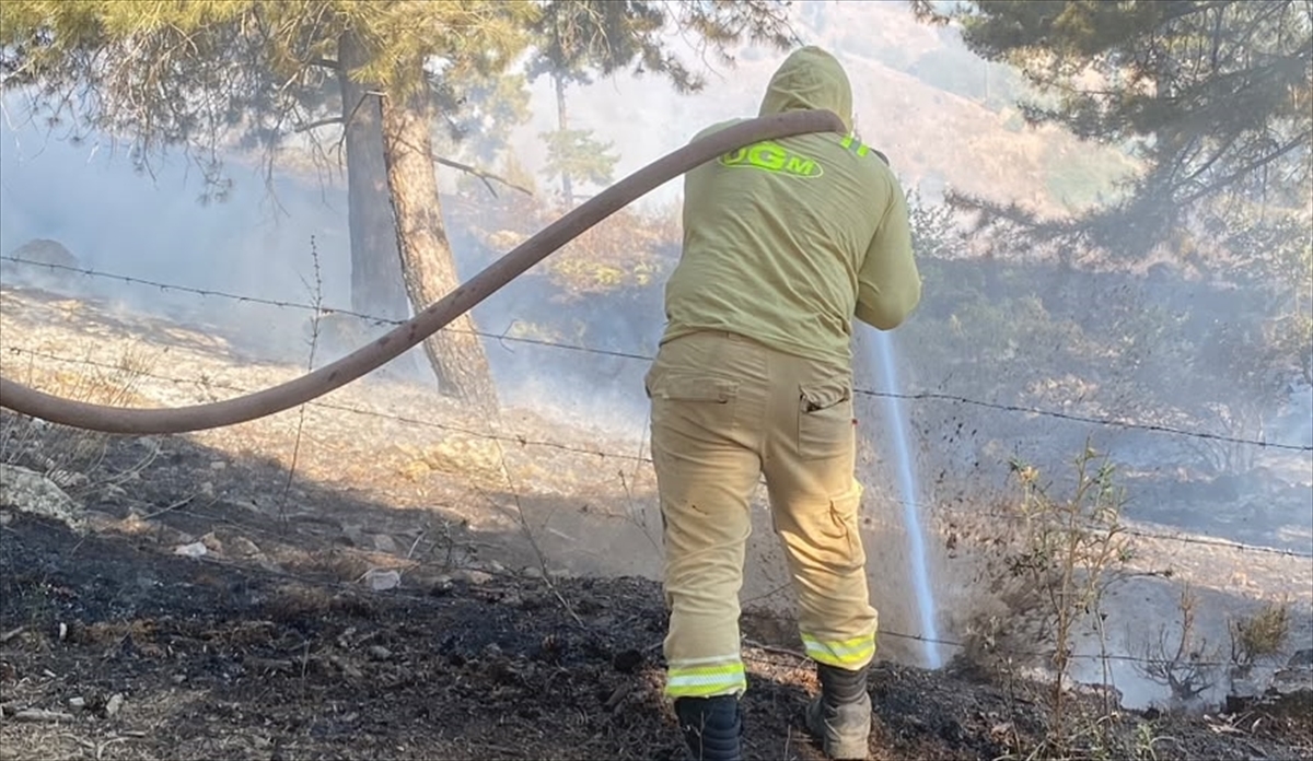 Kahramanmaraş'ta çıkan orman yangını kontrol altına alındı