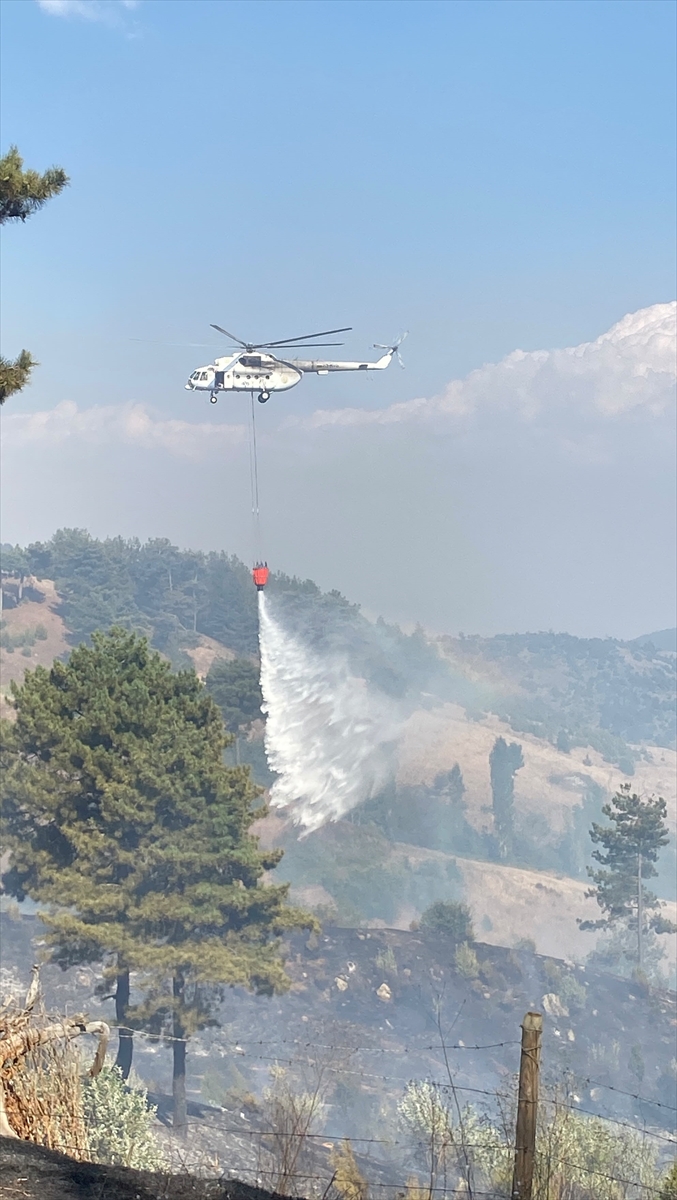 Kahramanmaraş'ta çıkan orman yangını kontrol altına alındı