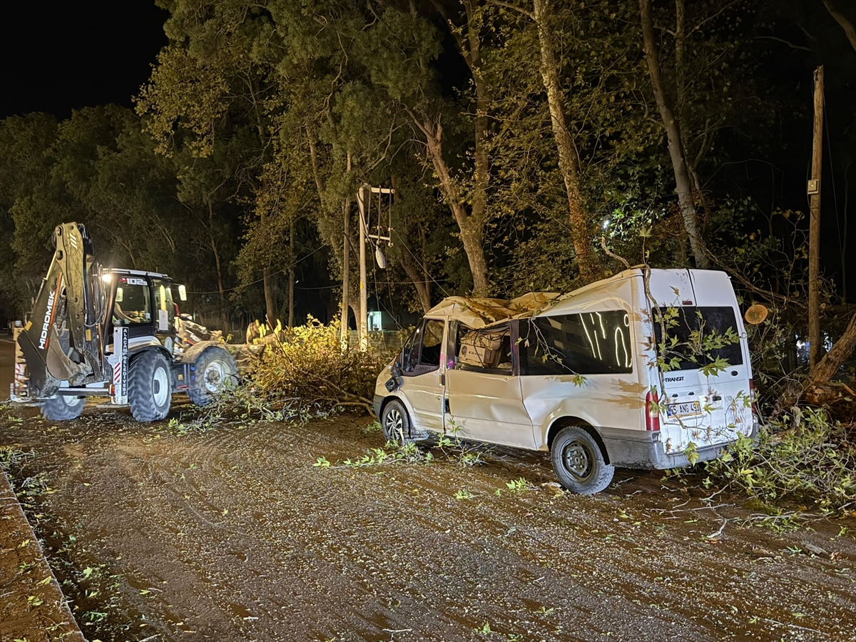 Samsun'da rüzgardan devrilen ağaç araca zarar verdi