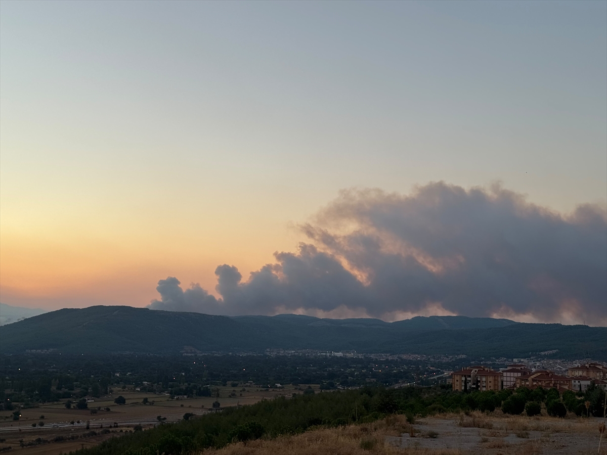 Muğla'da çıkan orman yangınına müdahale ediliyor