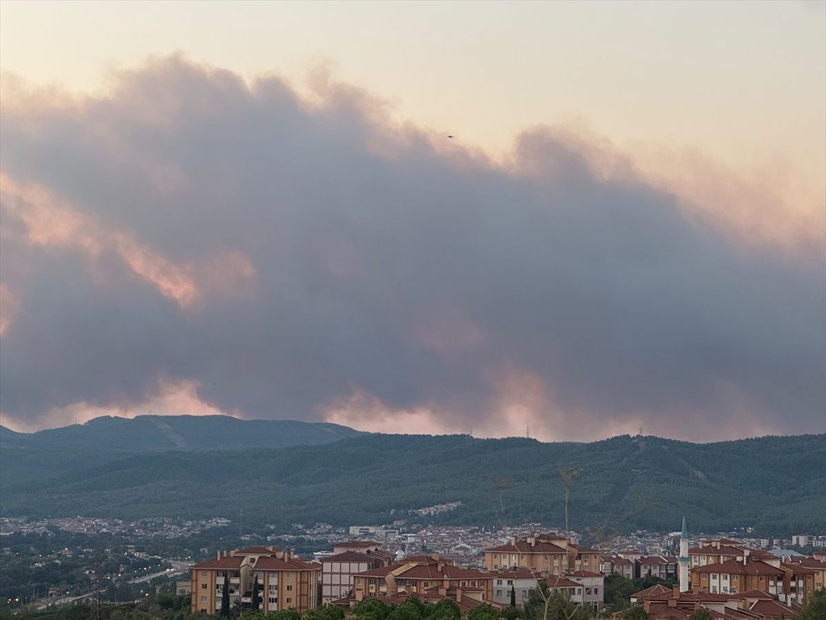 Muğla'da çıkan orman yangınına müdahale ediliyor