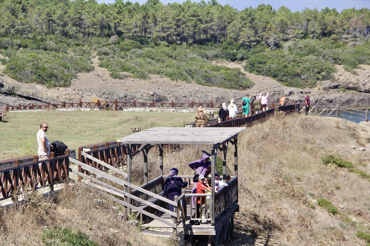 Sinop: Yüzde 70'i orman, havası 'iyi derecede temiz' bir şehir