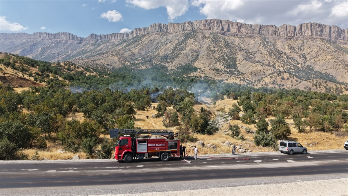 Hakkari'de ormanlık alanda çıkan yangın söndürüldü
