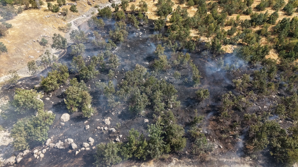 Hakkari'de ormanlık alanda çıkan yangın söndürüldü