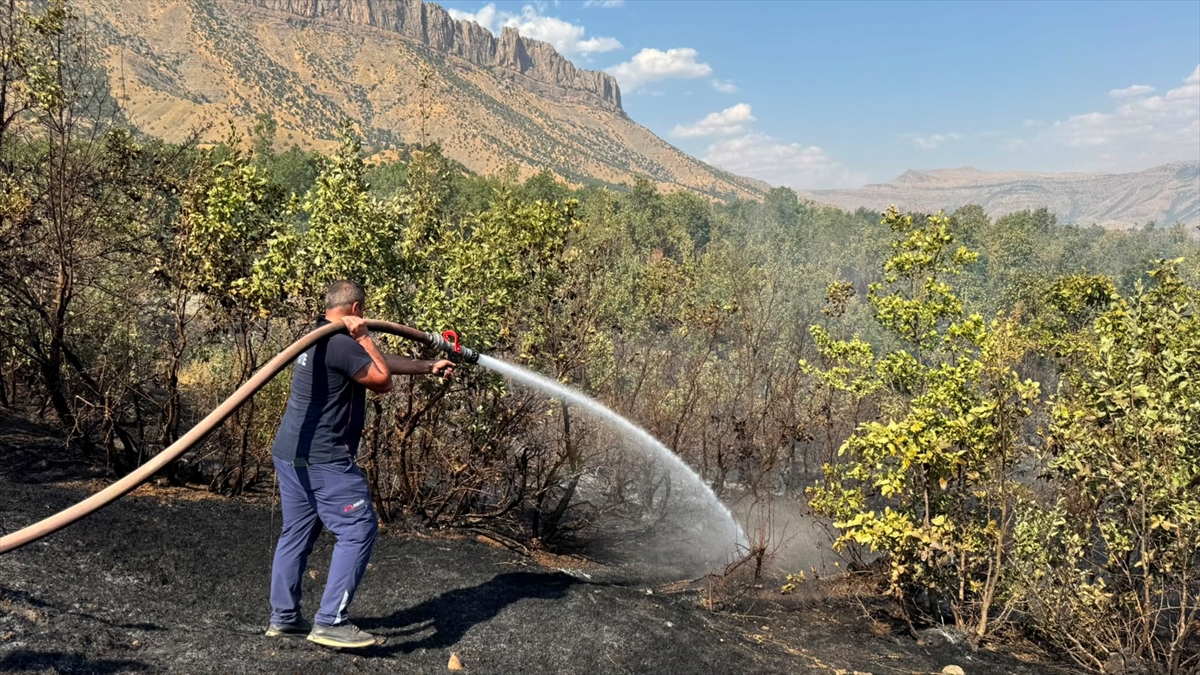 Hakkari'de ormanlık alanda çıkan yangın söndürüldü