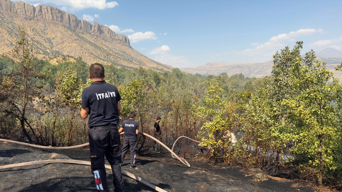 Hakkari'de ormanlık alanda çıkan yangın söndürüldü