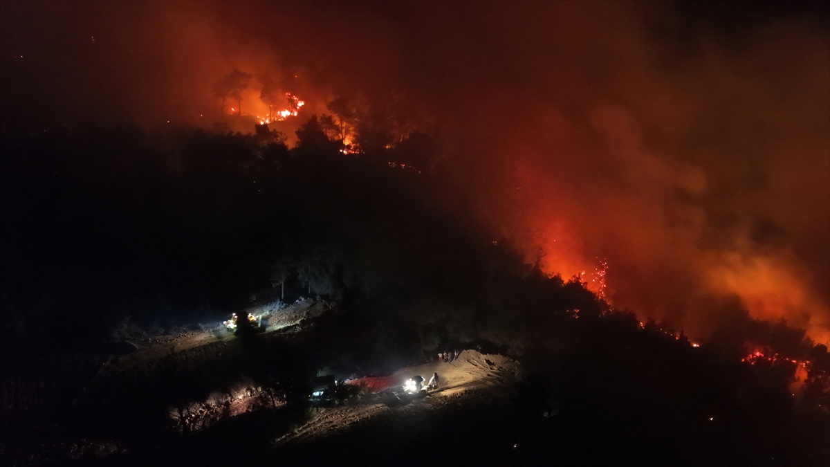 Adana'nın Karaisalı ilçesindeki orman yangını kontrol altına alındı