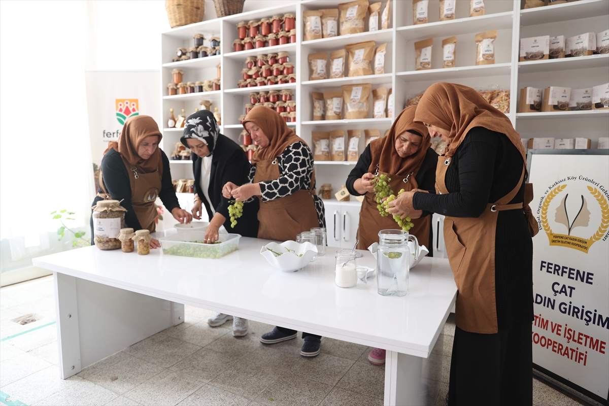 Nevşehir'in tescilli üzüm turşusu kadınların elinde hayat buldu