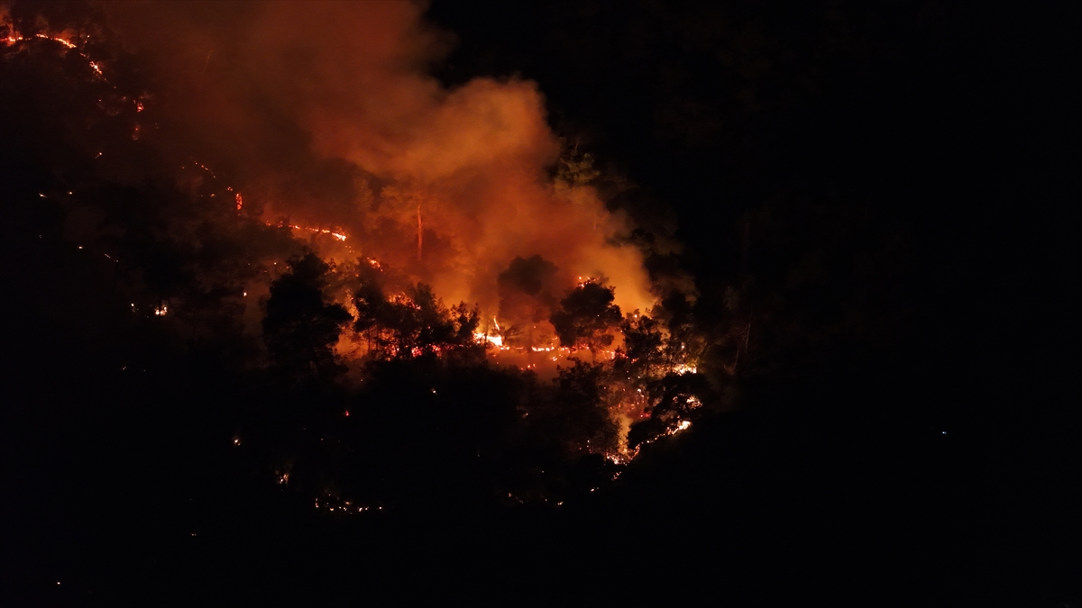 Adana'nın Kozan ilçesinde çıkan orman yangını İmamoğlu ve Aladağ ilçelerine de sıçradı