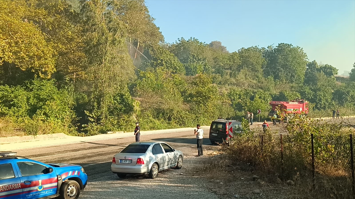 GÜNCELLEME - Adana'nın Kozan ilçesinde iki noktada çıkan orman yangınlarına müdahale ediliyor