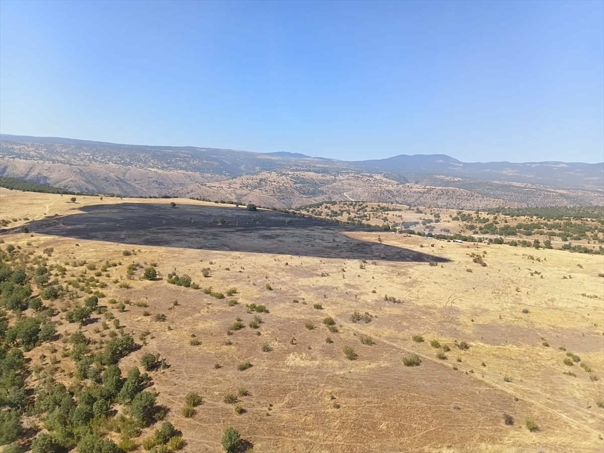 Bolu Kıbrıscık'ta çıkan orman yangını kontrol altına alındı
