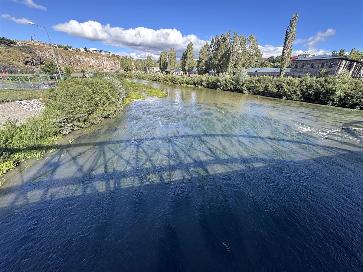 Ardahan Kura Nehri'nin debisi düştü, yosun kapladı