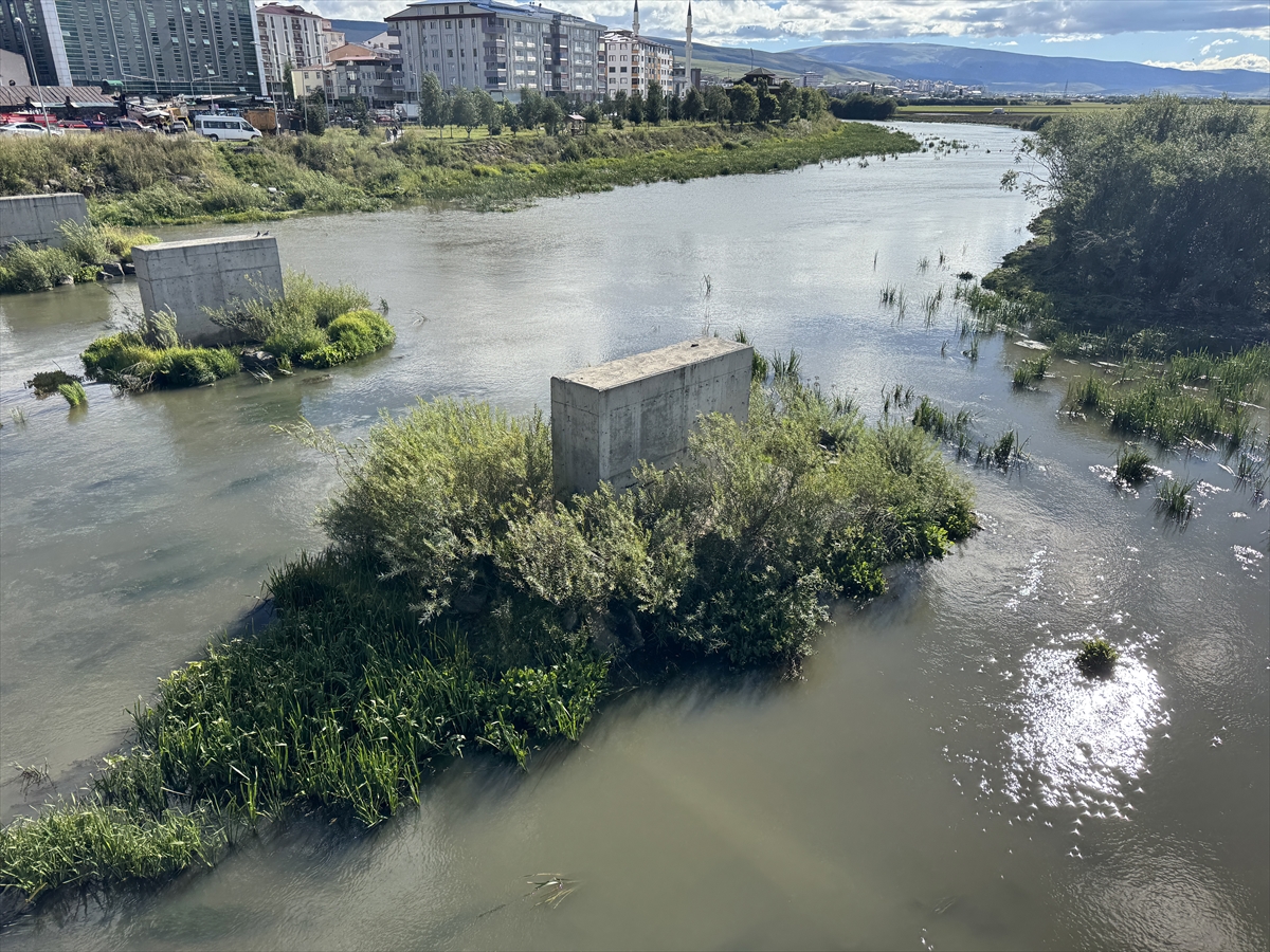 Ardahan Kura Nehri'nin debisi düştü, yosun kapladı