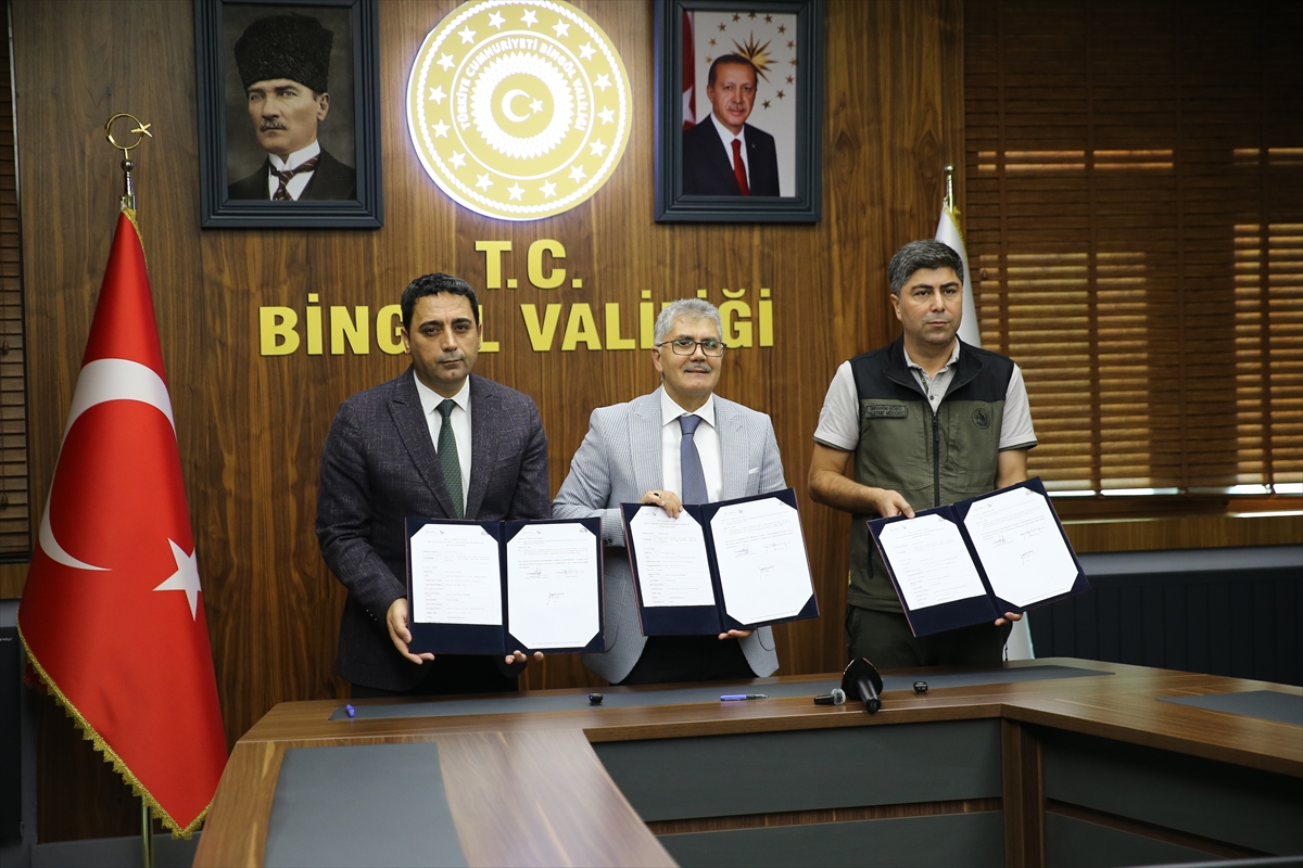 Vali Çelik: Bingöl'de trüf mantarı potansiyeli araştırılacak