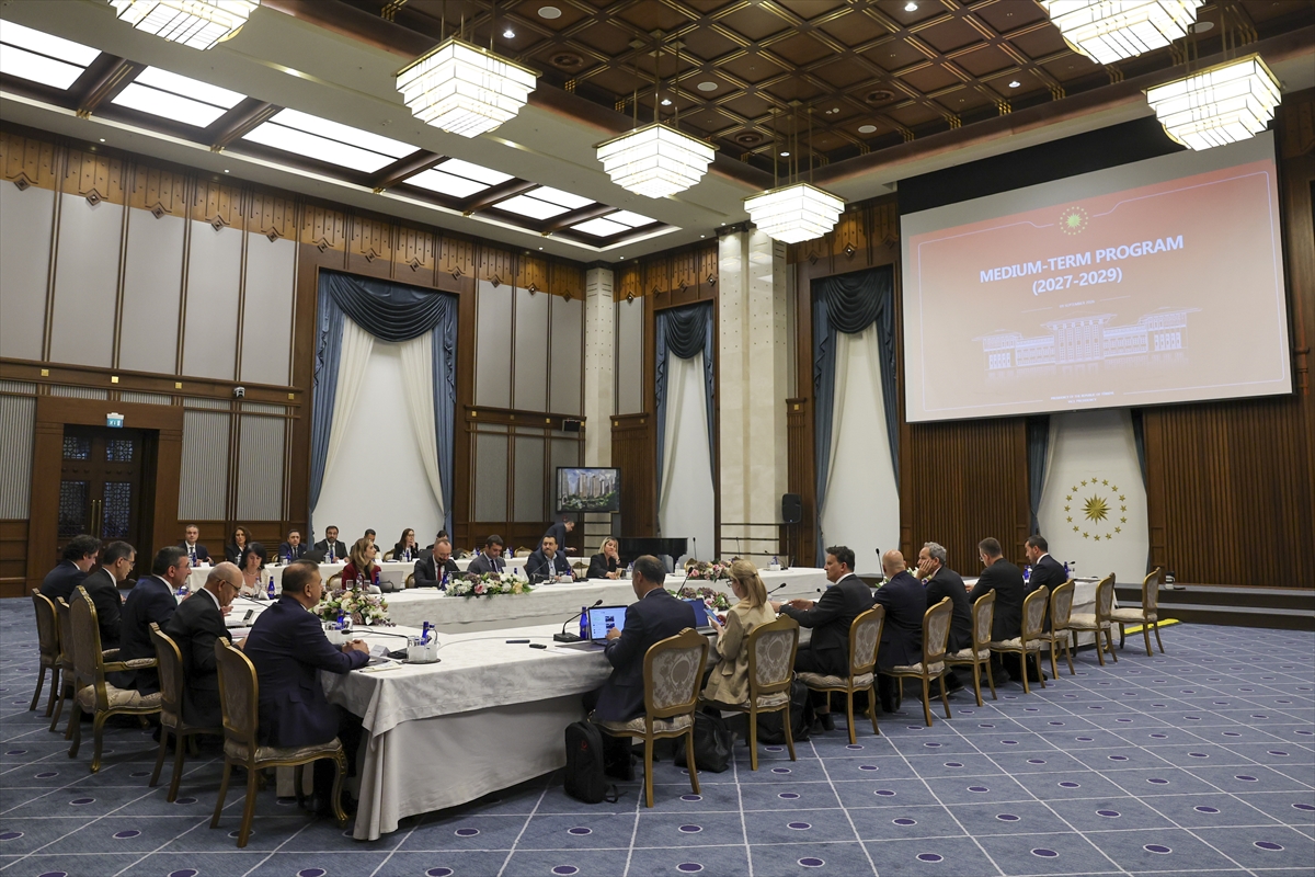 Cumhurbaşkanı Yardımcısı Yılmaz, Orta Vadeli Program Uluslararası Medya Buluşması'nda konuştu: (3)
