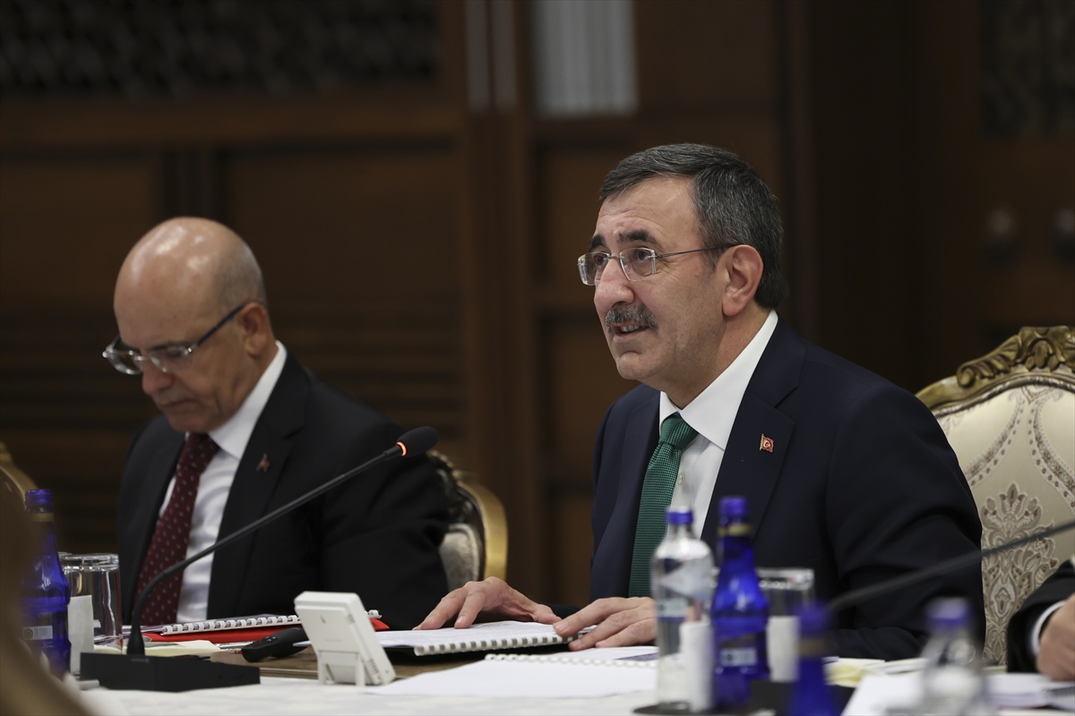 Cumhurbaşkanı Yardımcısı Yılmaz, Orta Vadeli Program Uluslararası Medya Buluşması'nda konuştu: (3)