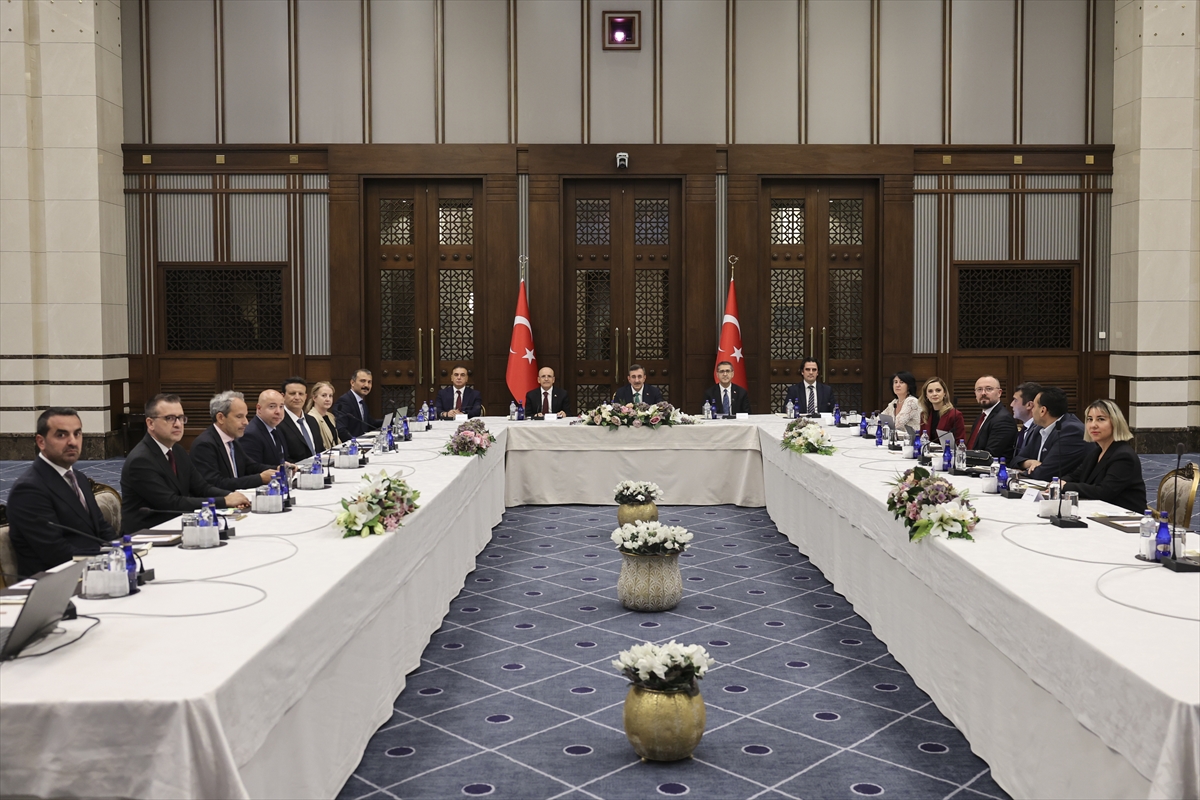 Cumhurbaşkanı Yardımcısı Yılmaz, Orta Vadeli Program Uluslararası Medya Buluşması'nda konuştu: (3)