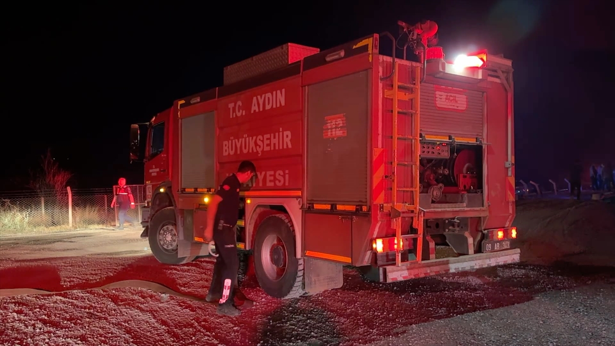 Aydın'da otluk alanda çıkan yangın kontrol altına alındı