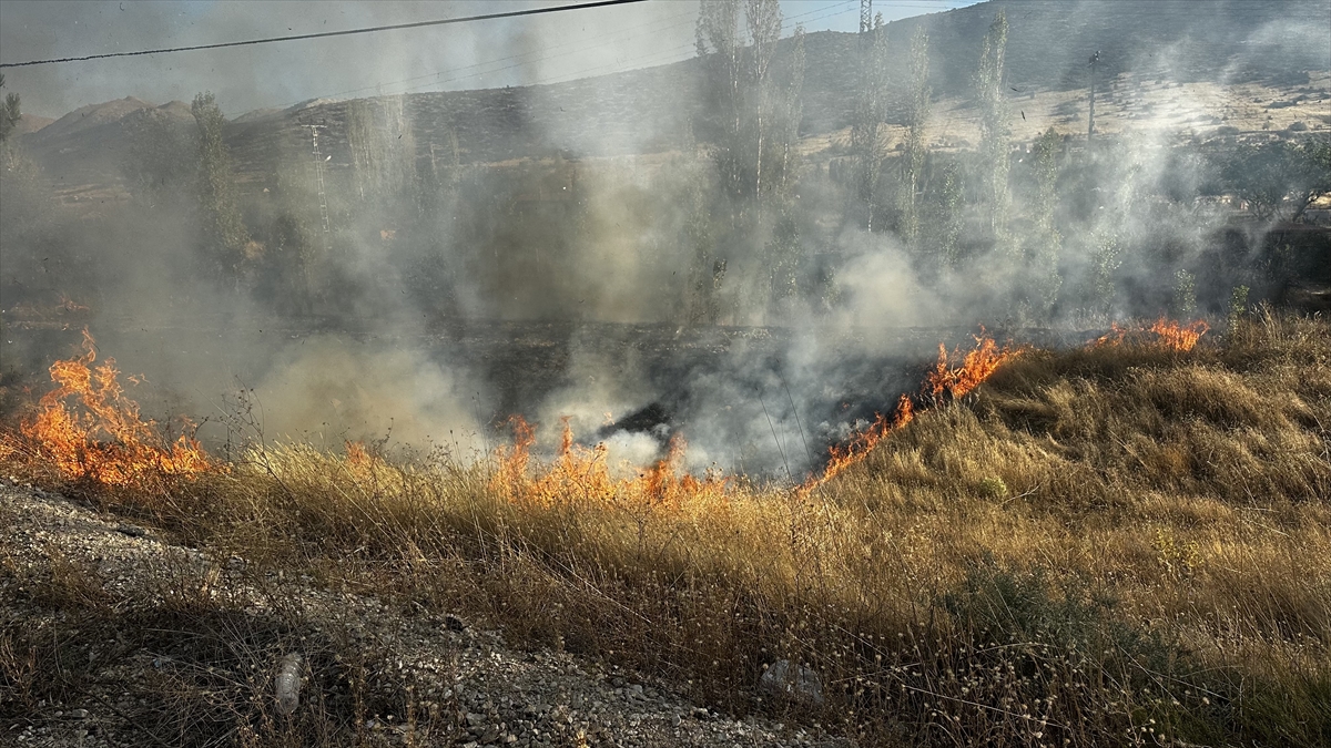 Isparta'da otluk alanda çıkan yangın kontrol altına alındı
