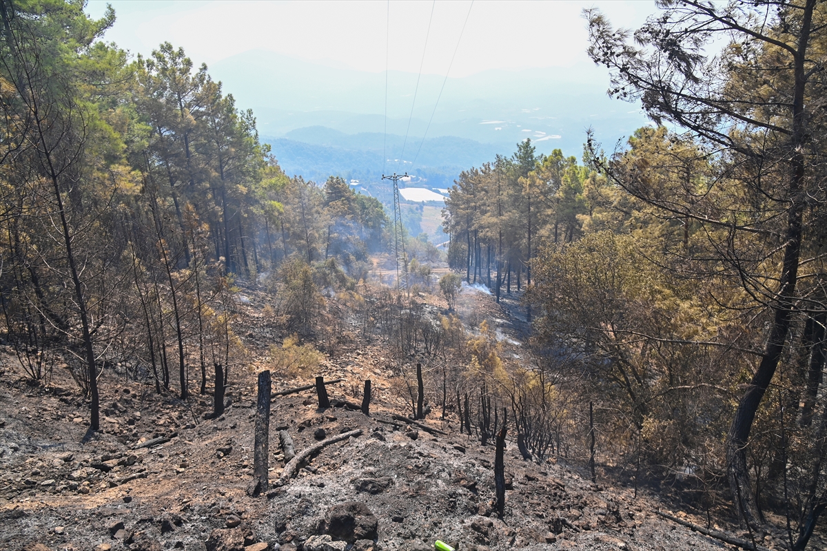 Antalya'nın Kumluca ilçesindeki orman yangınında soğutma çalışmaları yapılıyor