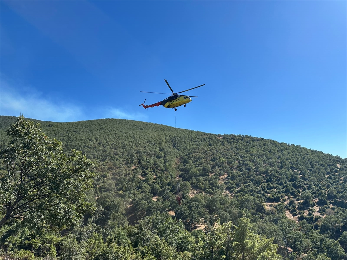 Uşak'ta meşelik alanda çıkan yangın kontrol altına alındı