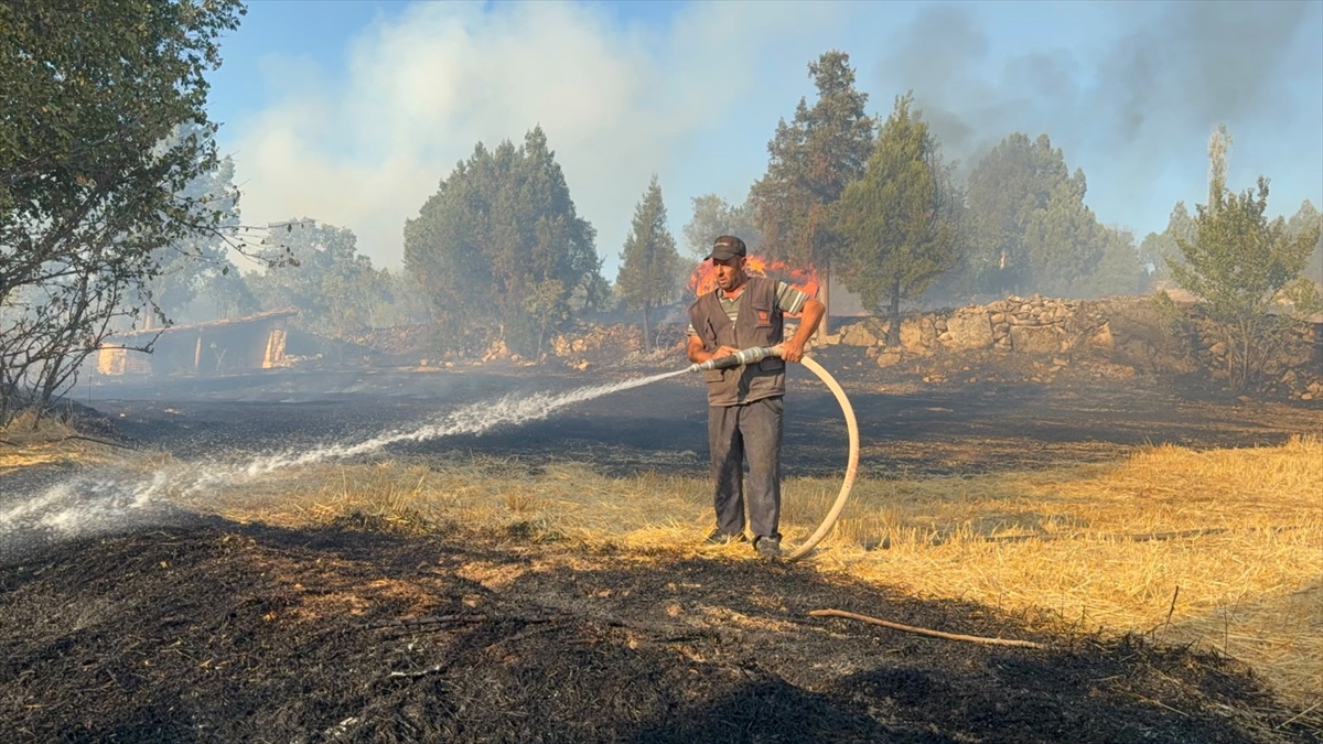 Kütahya'daki orman yangınına müdahale ediliyor