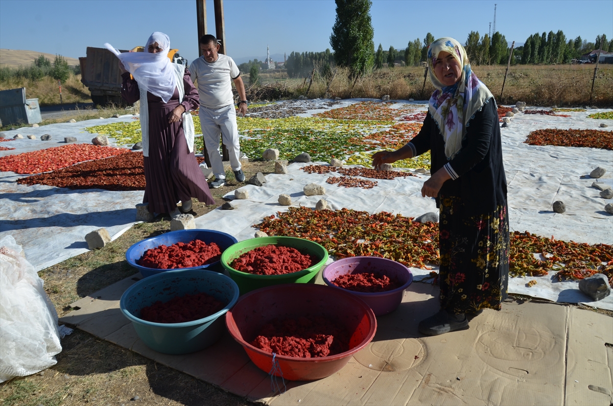 Muşlu Levent çifti: Güneşte kuruttukları sebzeler gelir kapısı