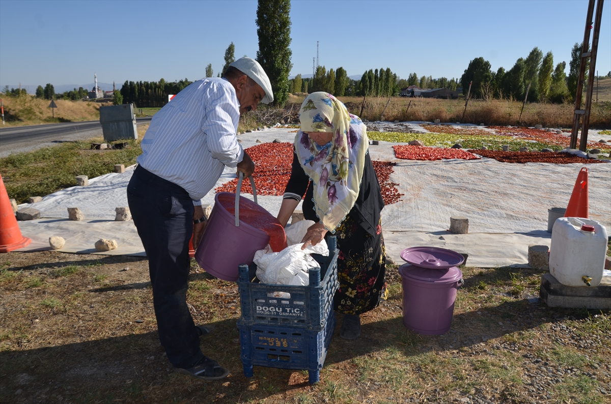 Muşlu Levent çifti: Güneşte kuruttukları sebzeler gelir kapısı